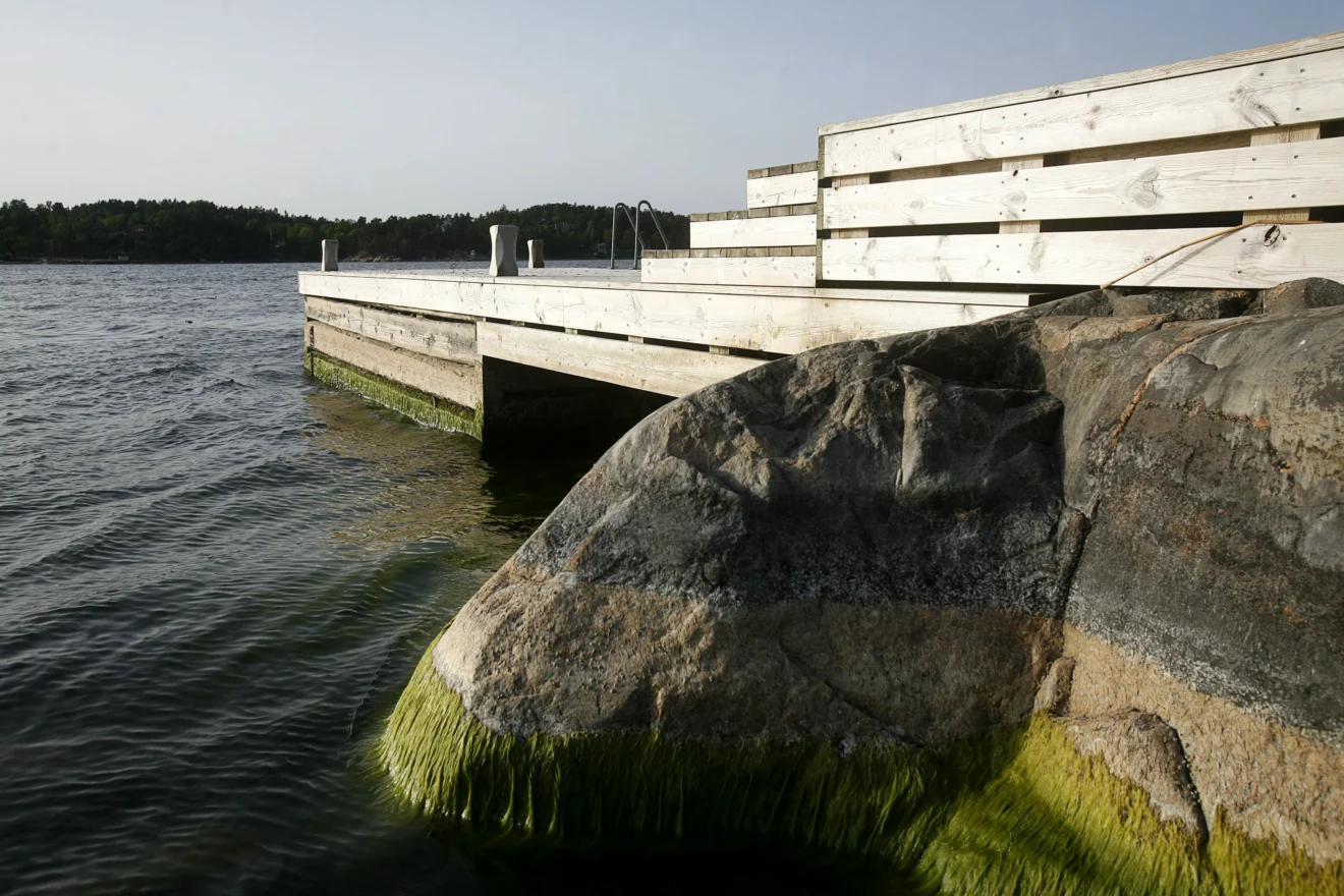 Stenkista byggd av Saxarens Brygg i Stockholms skärgård